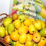 فندق Candelaria *