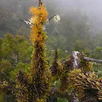 فندق Candelaria