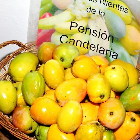 Apartamento Candelaria *