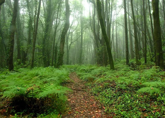 Ξενοδοχείο Candelaria Valle Gran Rey